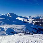 Flat In Near Hohe Tauern Slopes * Mittersill