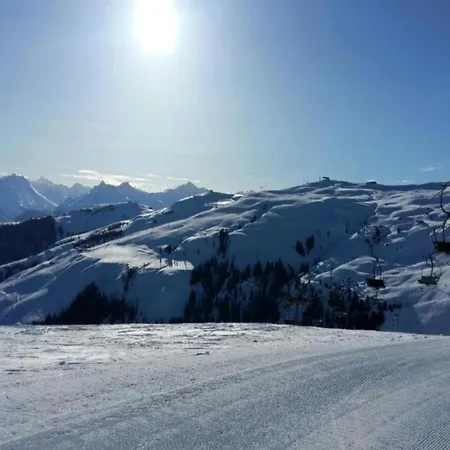 Flat In Near Hohe Tauern Slopes *