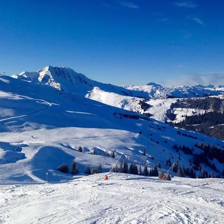 Flat In Near Hohe Tauern Slopes * 米特西尔