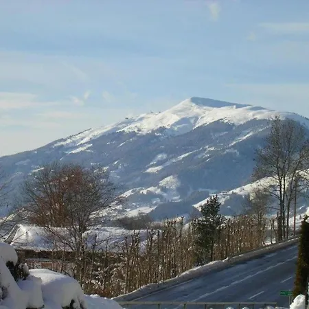 公寓 Flat In Near Hohe Tauern Slopes