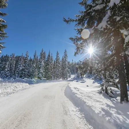 Flat In Near Hohe Tauern Slopes *