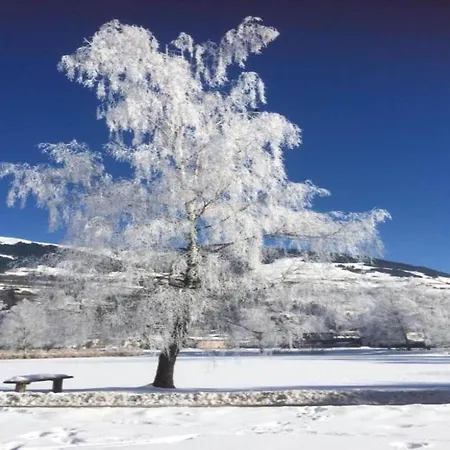 Flat In Near Hohe Tauern Slopes *