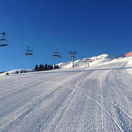 Flat In Near Hohe Tauern Slopes * ミッタージル