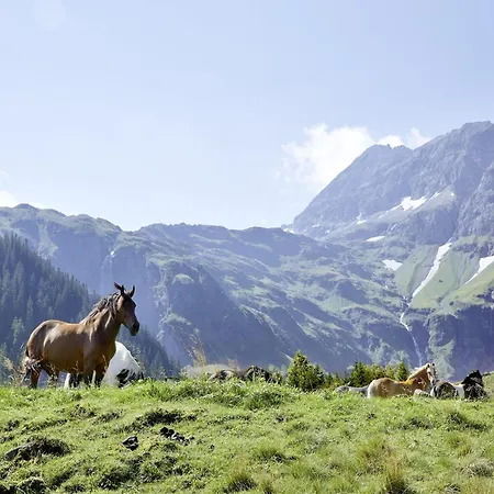Flat In Near Hohe Tauern Slopes شقة ميترسل