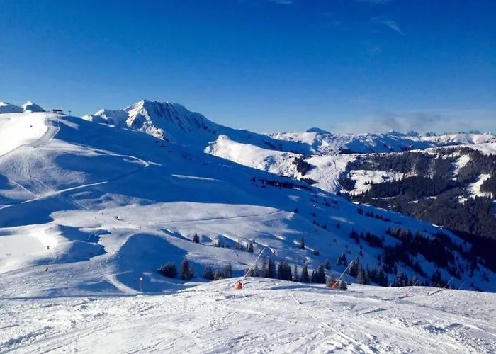 Flat In Near Hohe Tauern Slopes * ミッタージル