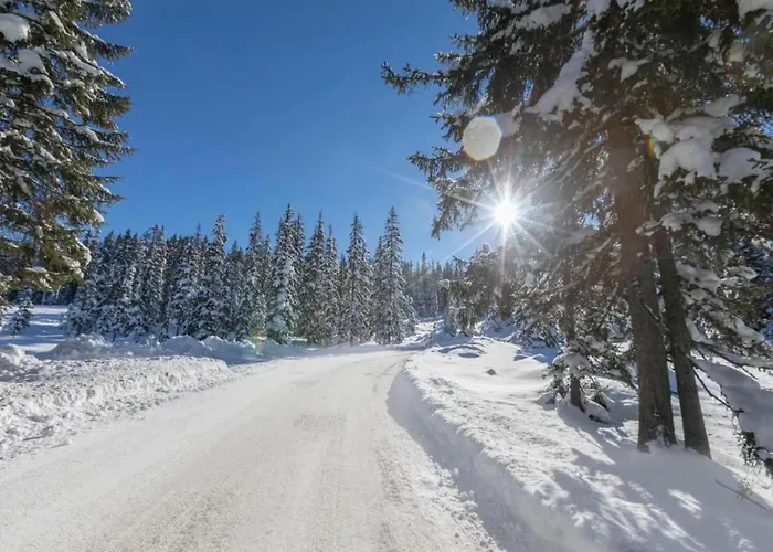 Flat In Near Hohe Tauern Slopes *