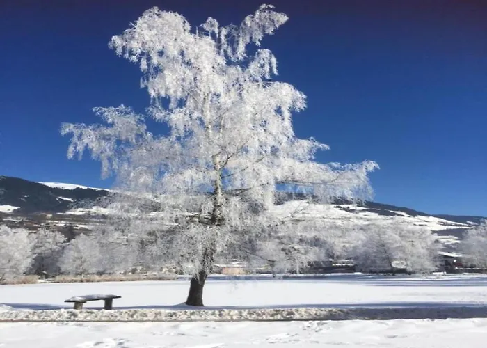 Flat In Near Hohe Tauern Slopes *